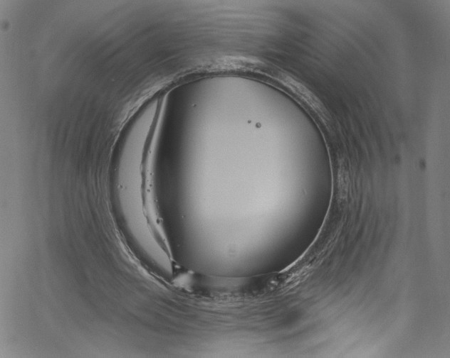 X0000067350485200604281446