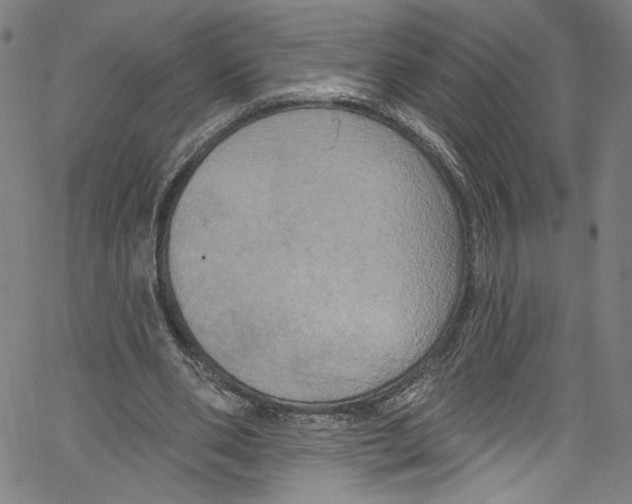 X0000067350486200604281446