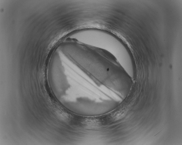 X0000067350487200604281446