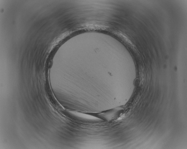 X0000067350488200604281446