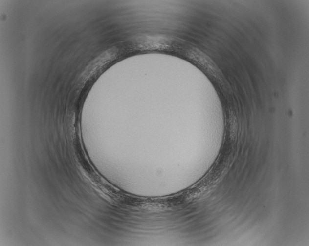 X0000067350490200604281445