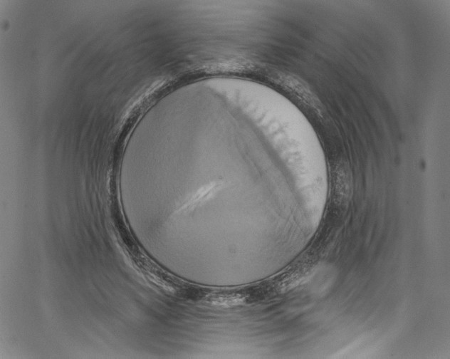 X0000067350491200604281445