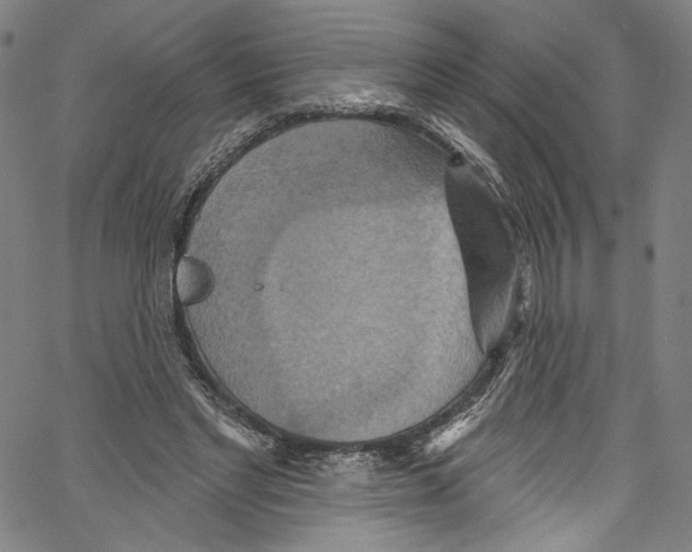 X0000067350493200604281445