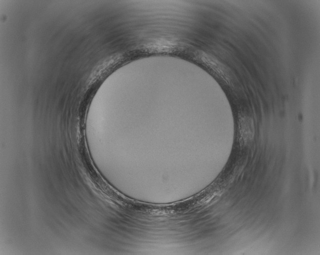 X0000067350494200604281445