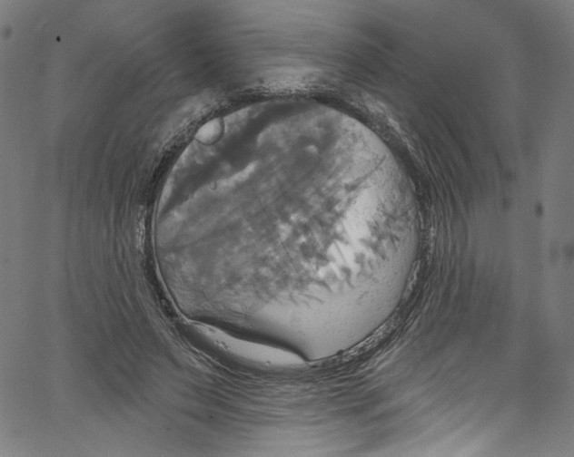 X0000067350495200604281445