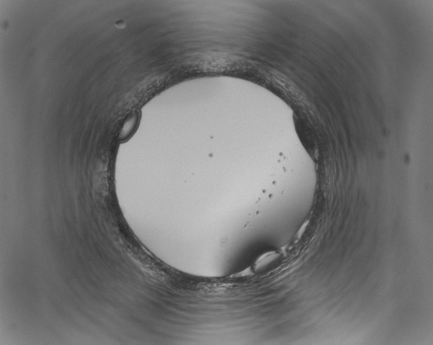 X0000067350497200604281445