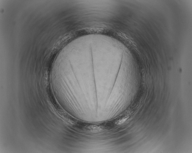 X0000067350498200604281445