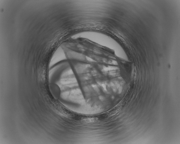 X0000067350499200604281445