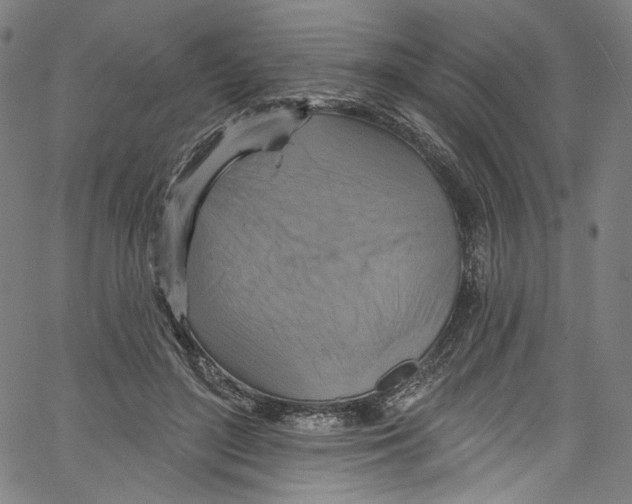 X0000067350500200604281445