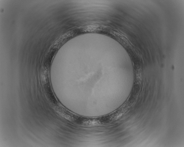 X0000067350503200604281445