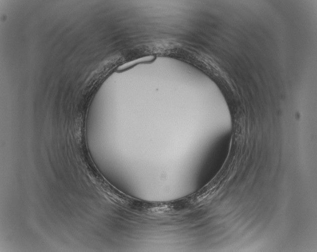 X0000067350505200604281445