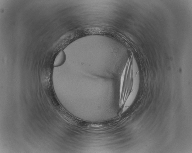 X0000067350507200604281445