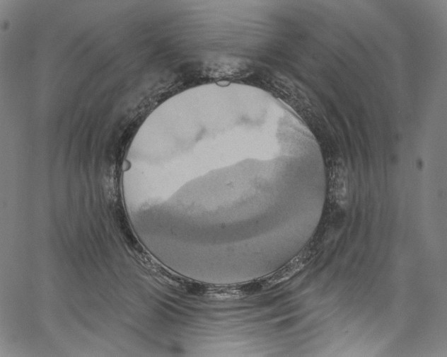 X0000067350510200604281445