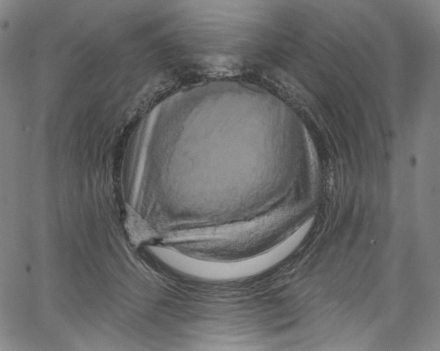 X0000067350512200604281445