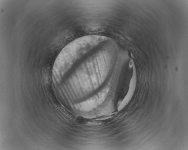 X0000067350515200604281445