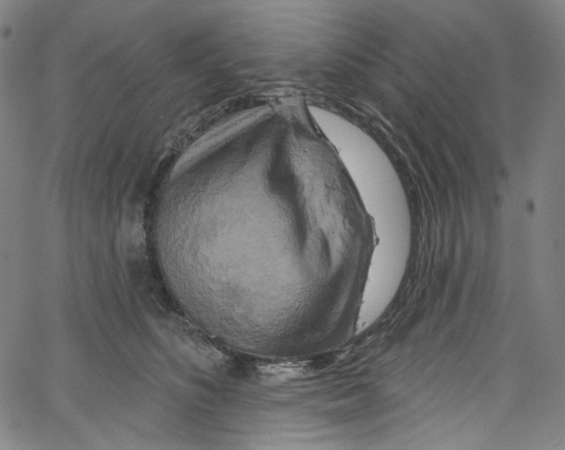 X0000067350516200604281445