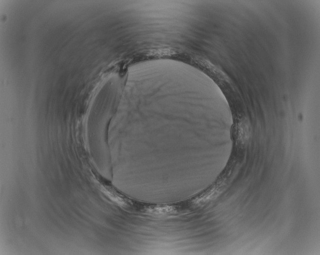 X0000067350517200604281445