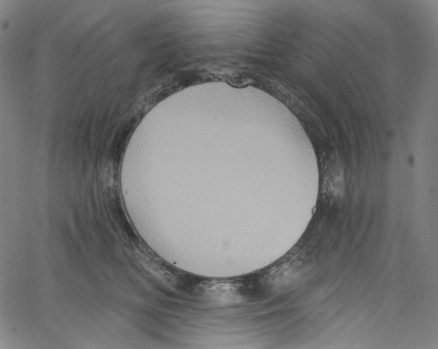 X0000067350518200604281445