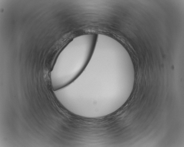 X0000067350521200604281445