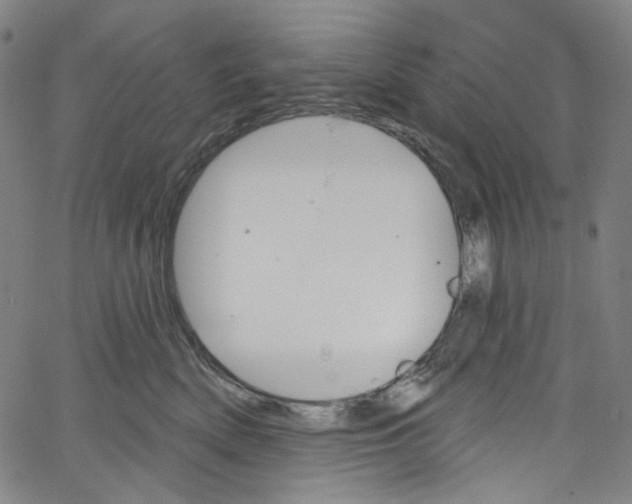 X0000067350522200604281445