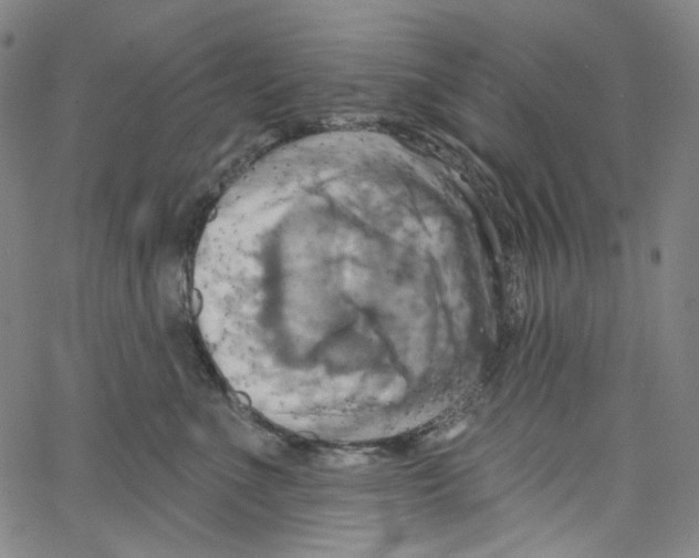 X0000067350523200604281445