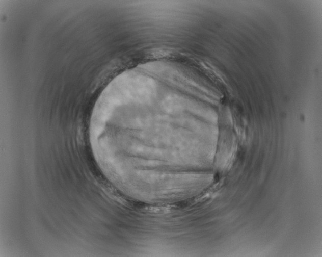 X0000067350524200604281445