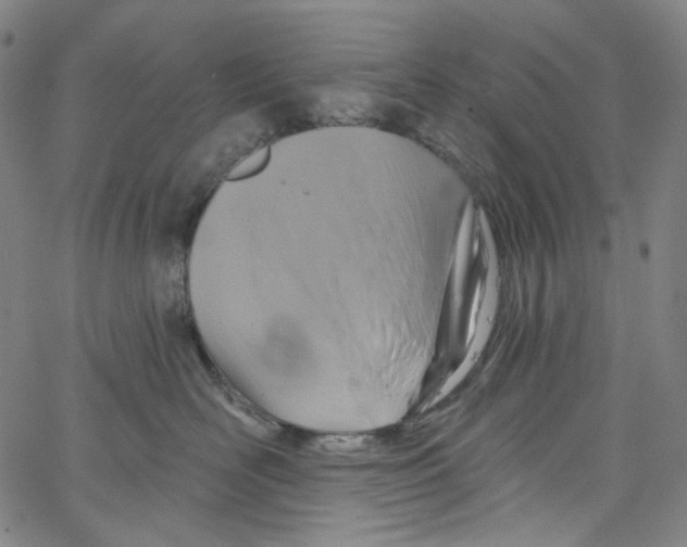 X0000067350526200604281445