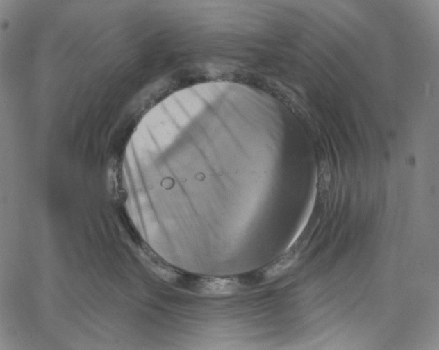 X0000067350527200604281445