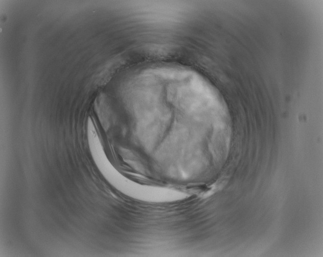 X0000067350528200604281445