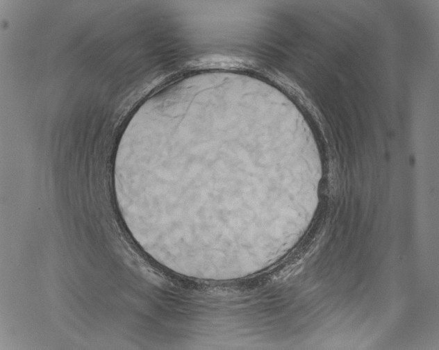 X0000067350529200604281444