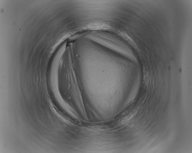 X0000067350530200604281444