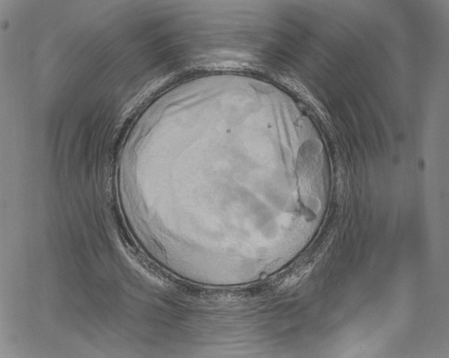 X0000067350533200604281444