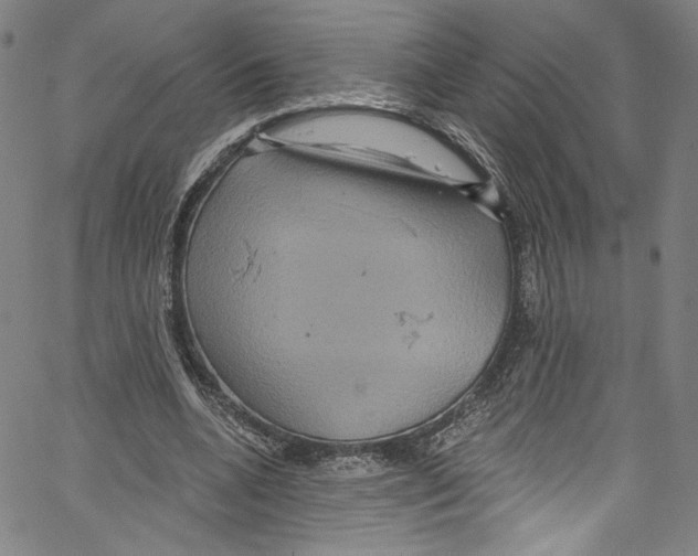 X0000067350536200604281444