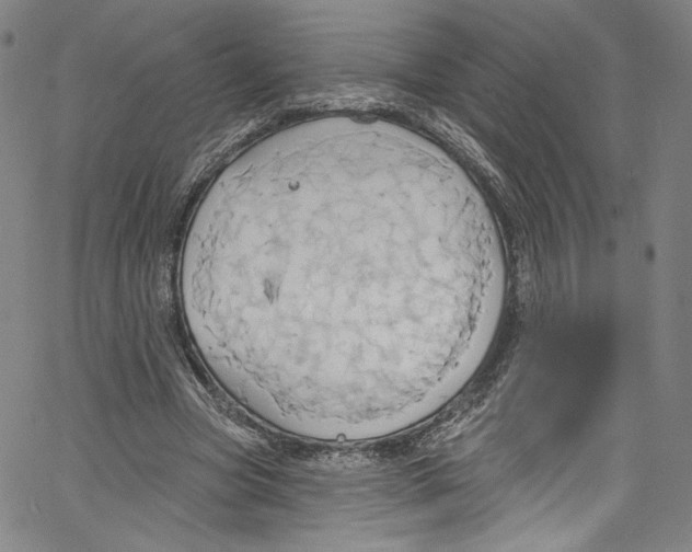 X0000067350537200604281444