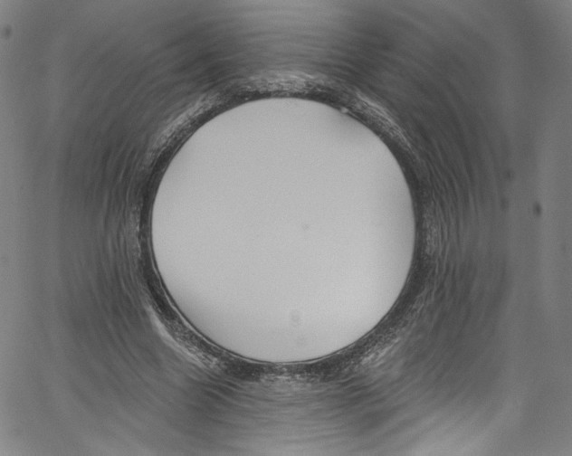 X0000067350538200604281444