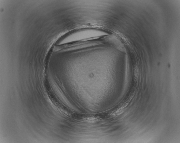 X0000067350540200604281444