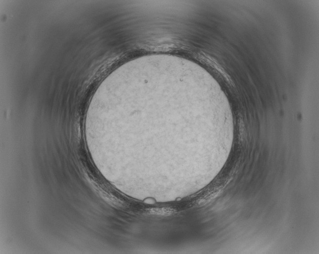 X0000067350541200604281444