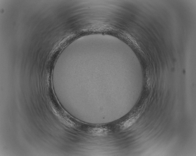 X0000067350542200604281444