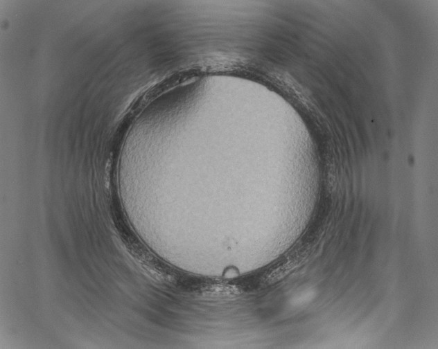 X0000067350543200604281444