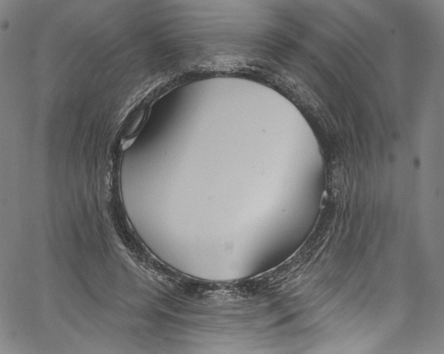 X0000067350544200604281444