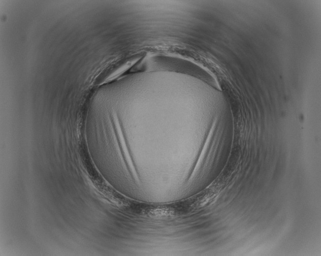 X0000067350546200604281444