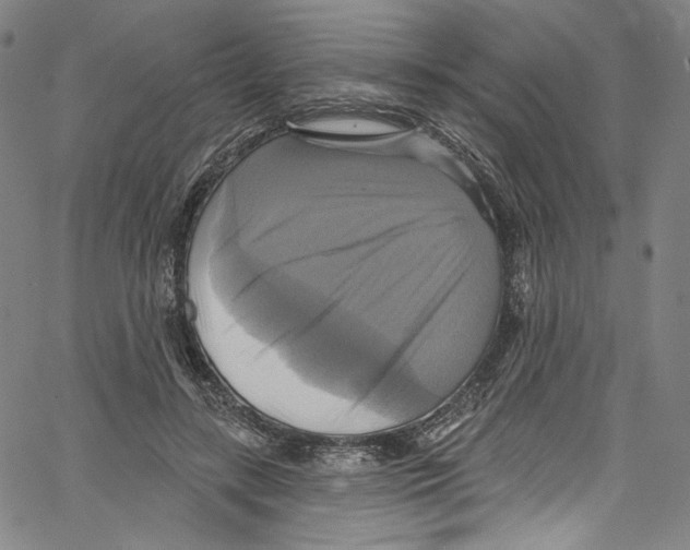 X0000067350547200604281444