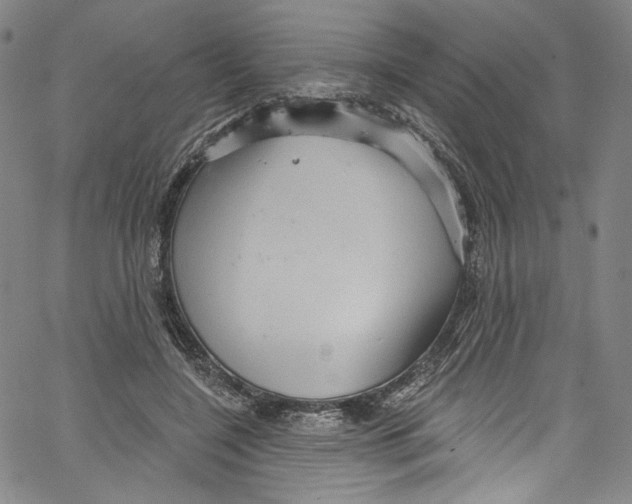 X0000067350548200604281444