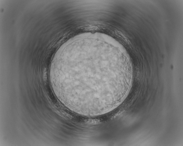 X0000067350549200604281444