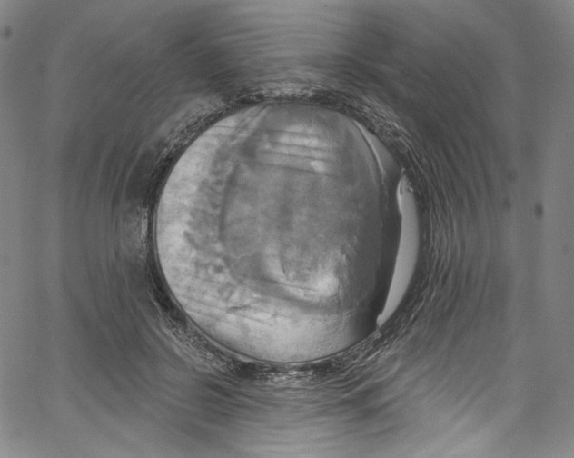 X0000067350550200604281444