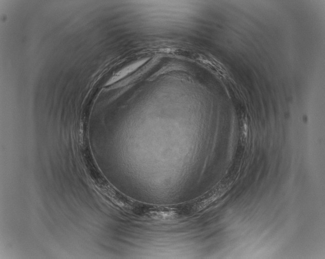 X0000067350552200604281444