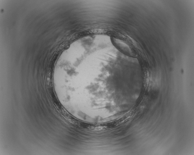 X0000067350553200604281444