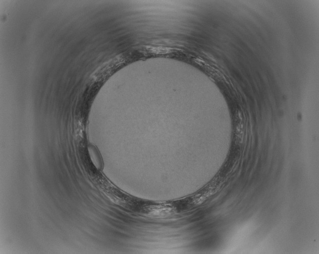 X0000067350555200604281445