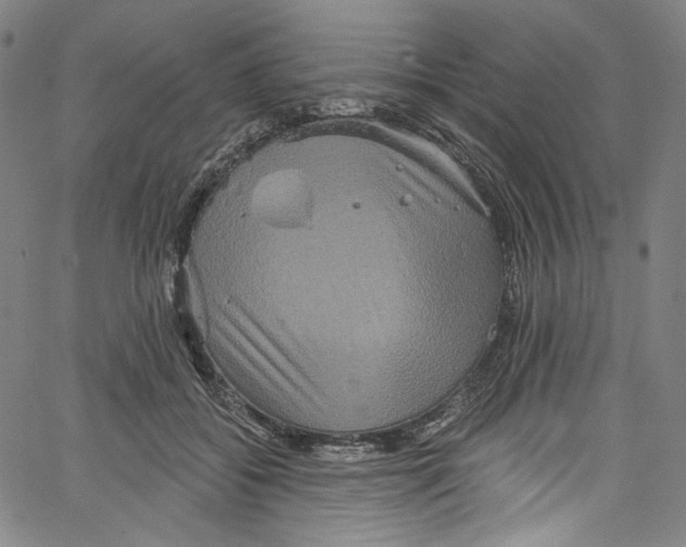 X0000067350556200604281445