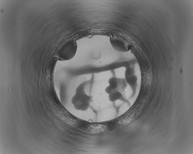 X0000067350557200604281445